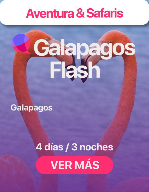 Galapagos Flash