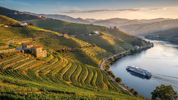 Viñedos del valle del Duero y crucero fluvial, Portugal — TourExperto