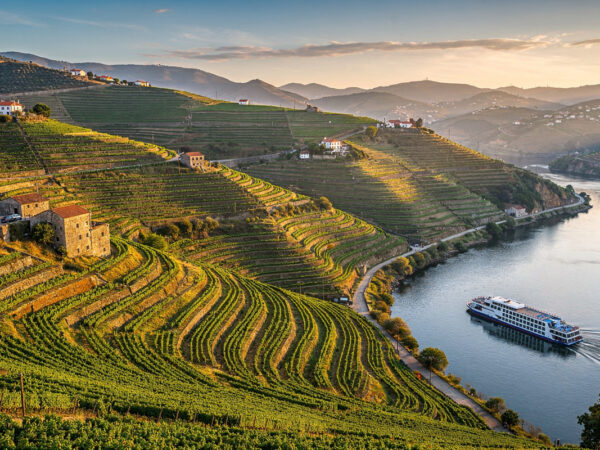 Viñedos del valle del Duero y crucero fluvial, Portugal — TourExperto